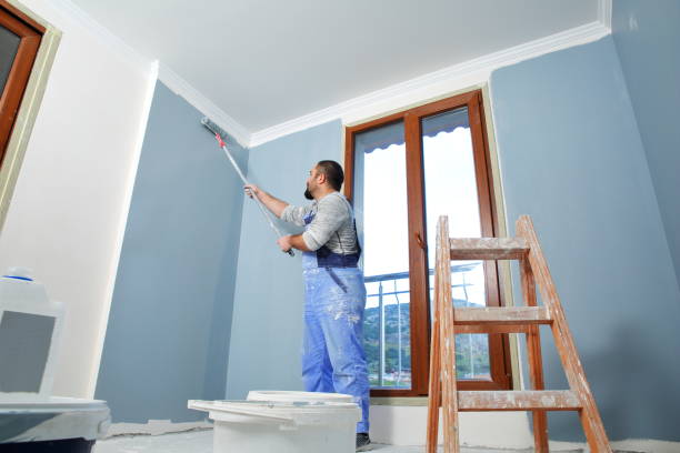 Best Residential Painting  in Shillington, PA